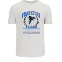 Falcons Baseball State...